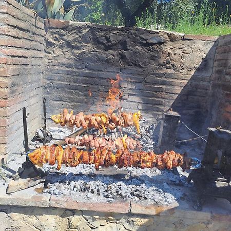 Agriturismo Marinella 阿米里亚 外观 照片
