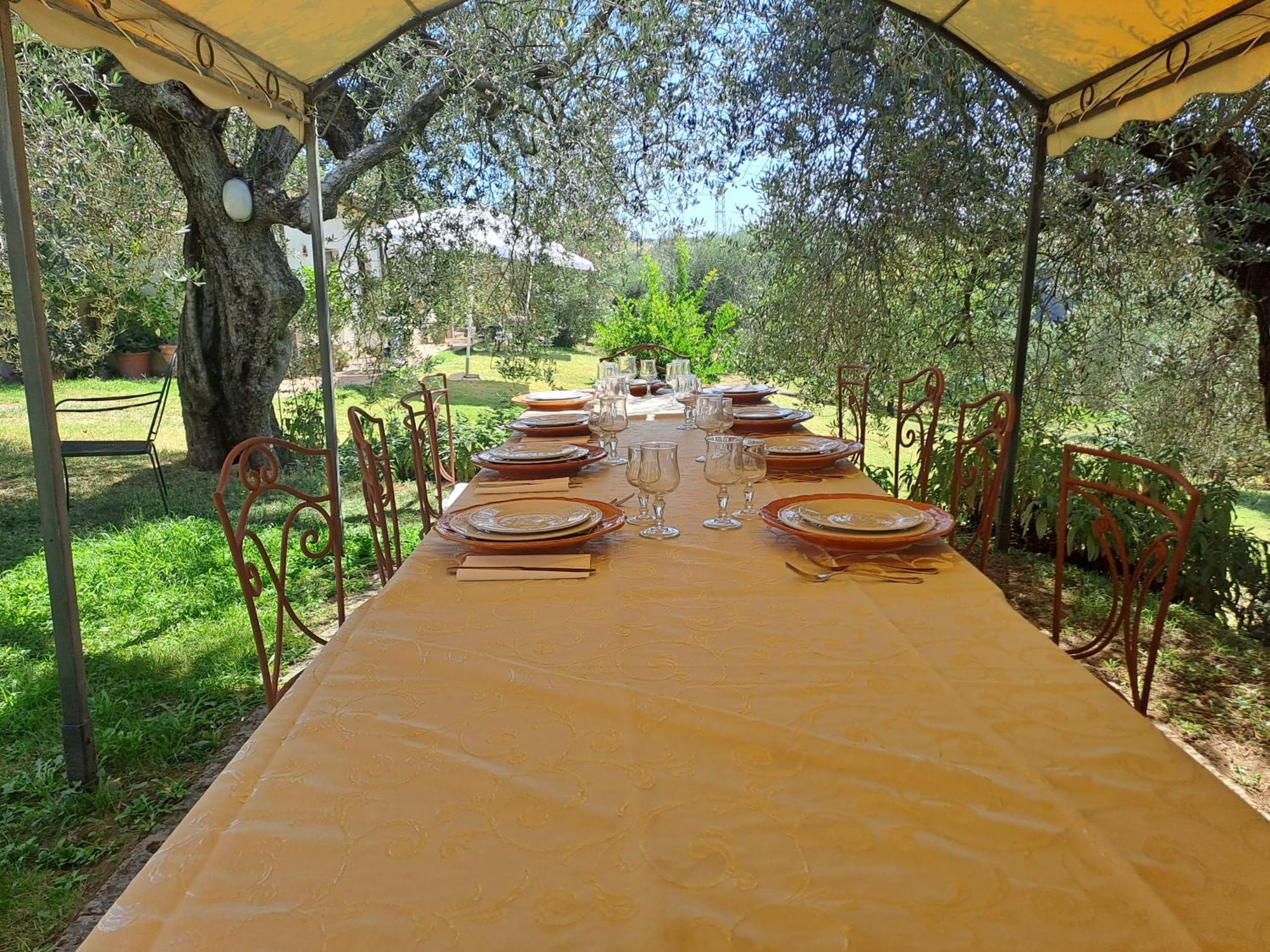 Agriturismo Marinella 阿米里亚 外观 照片