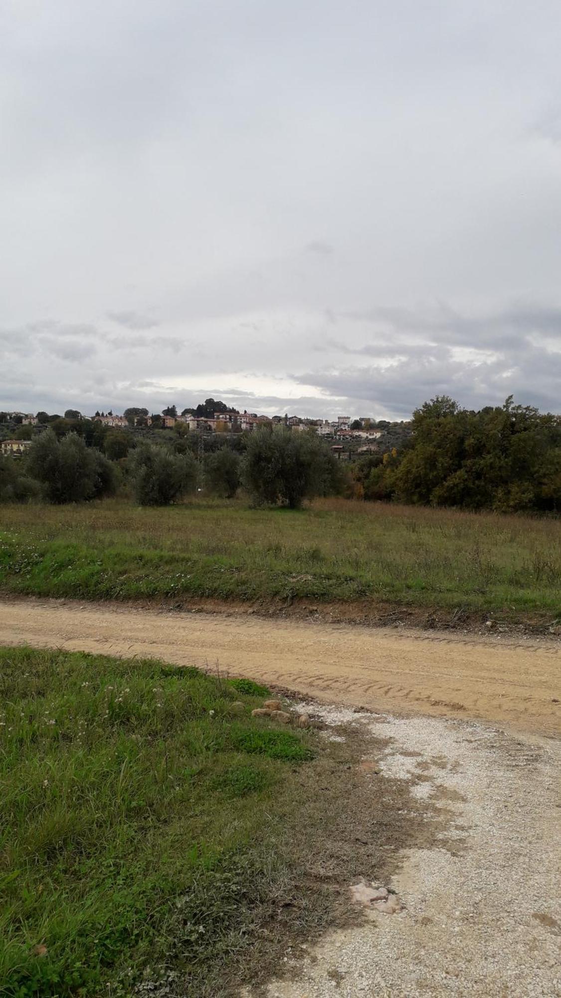 Agriturismo Marinella 阿米里亚 外观 照片