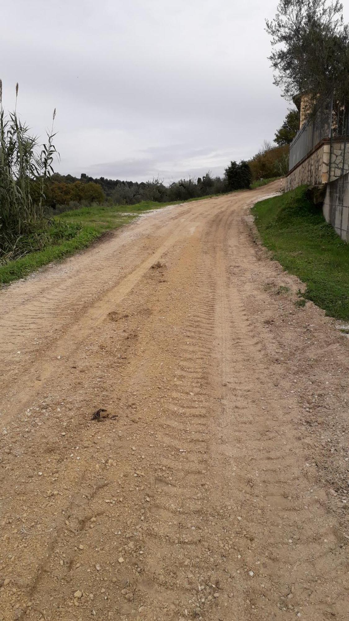 Agriturismo Marinella 阿米里亚 外观 照片