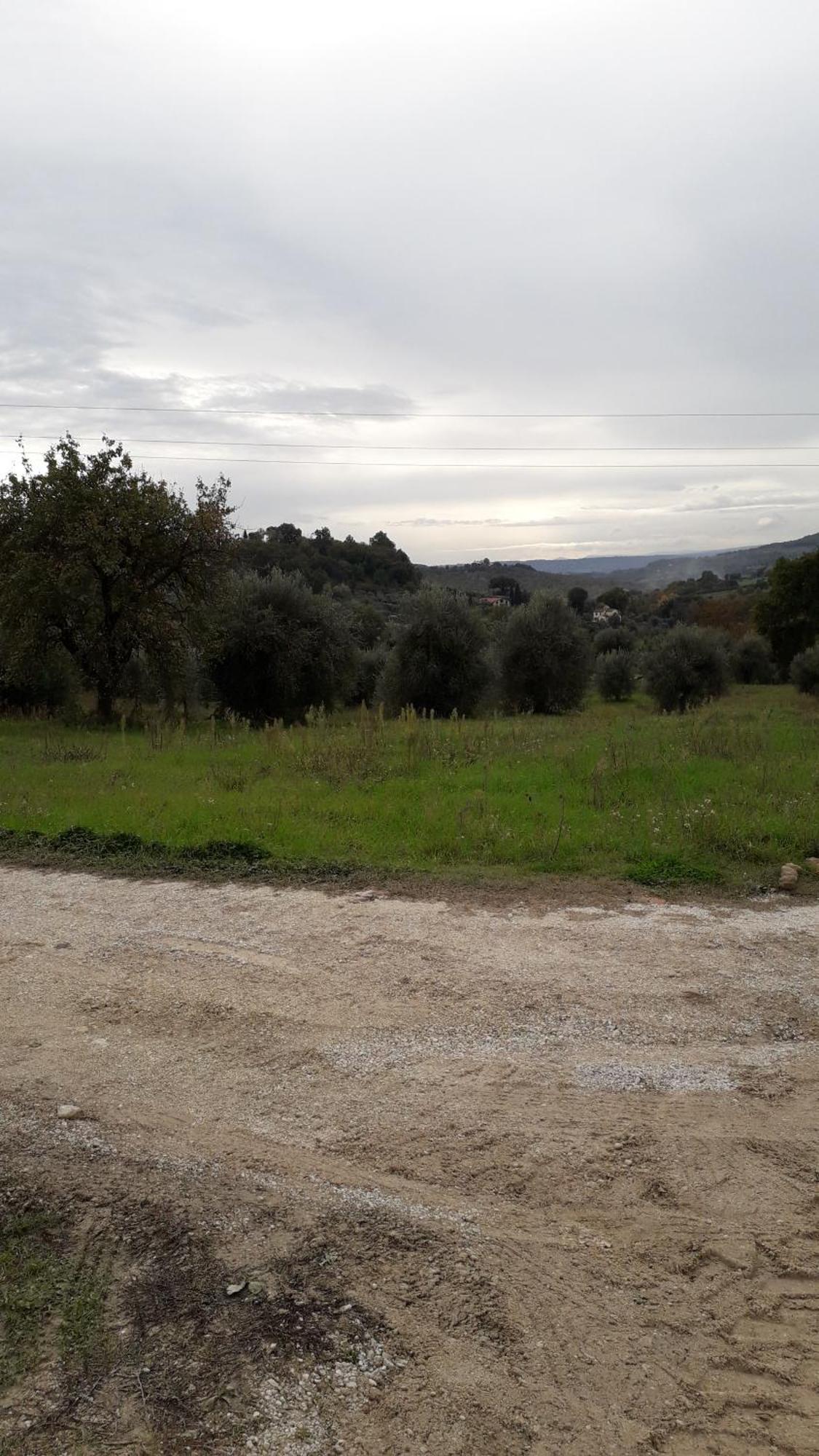 Agriturismo Marinella 阿米里亚 外观 照片
