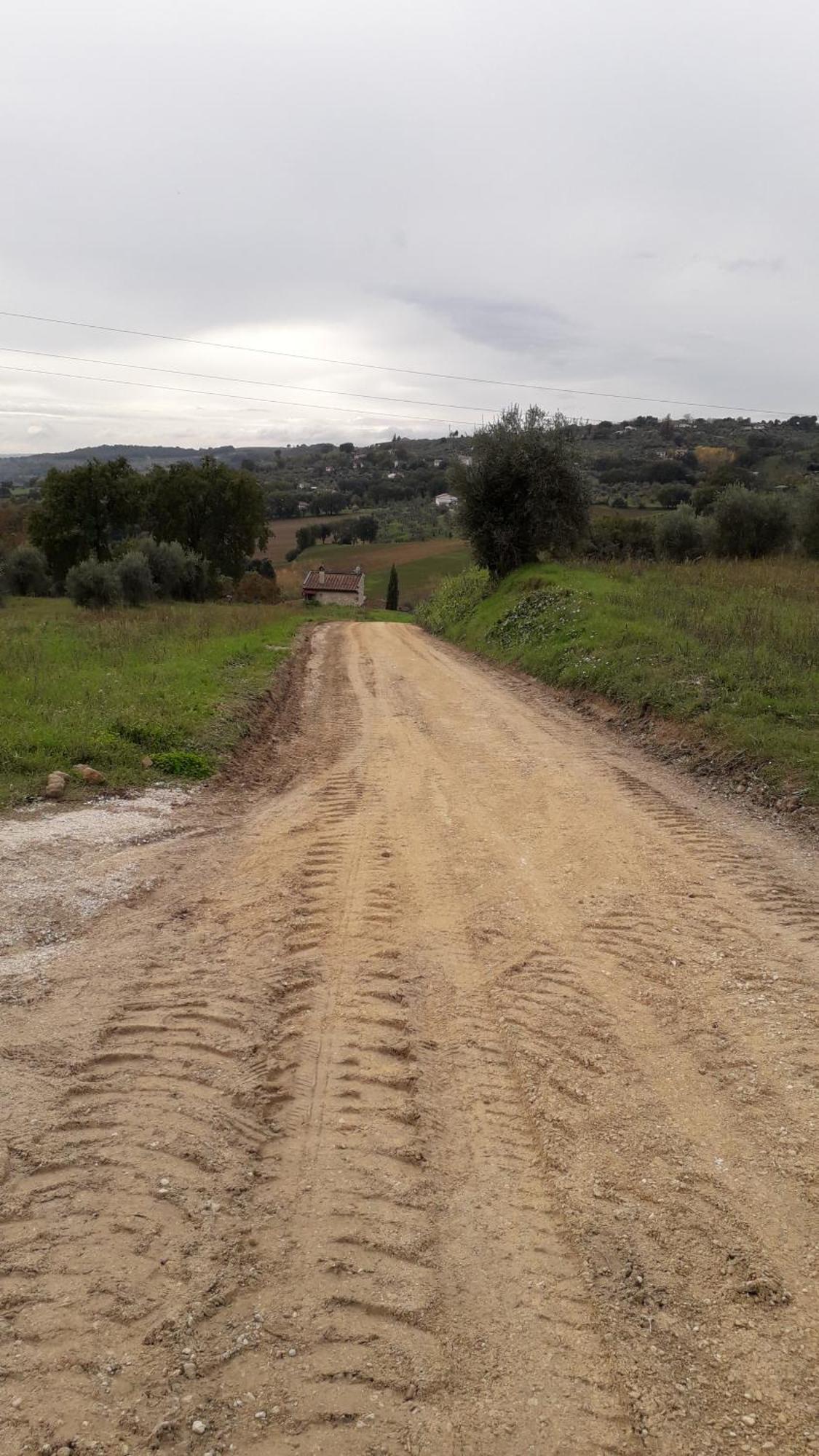 Agriturismo Marinella 阿米里亚 外观 照片