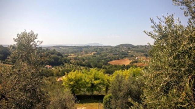 Agriturismo Marinella 阿米里亚 外观 照片