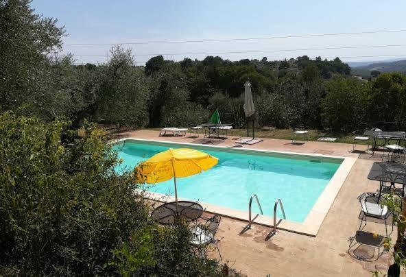 Agriturismo Marinella 阿米里亚 外观 照片